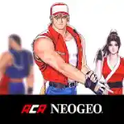 REAL BOUT FATAL FURY SPECIAL