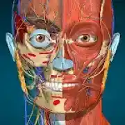 Anatomy Learning