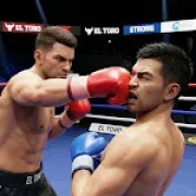 Ultimate Boxing Champion