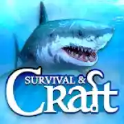 Survival on Raft