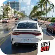 Flex City