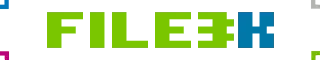 Website Logo
