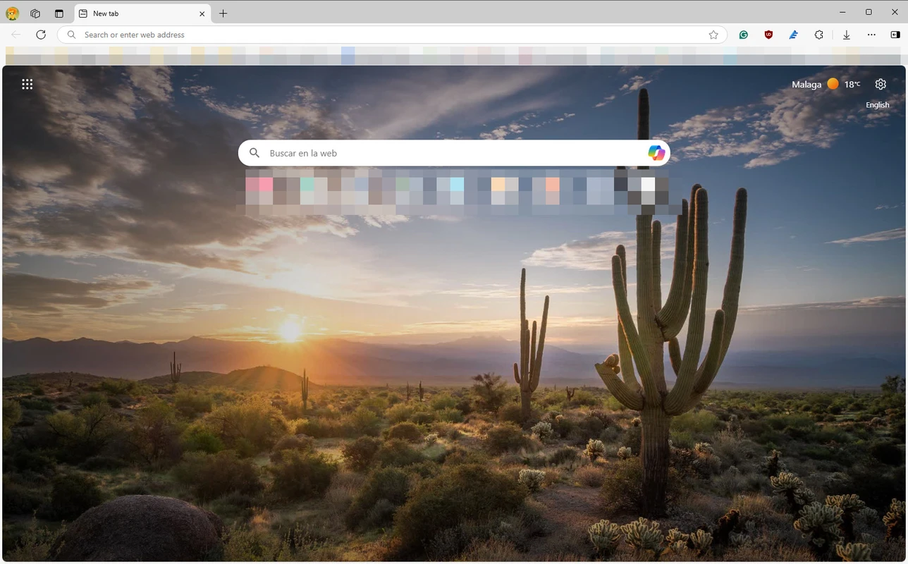 Microsoft Edge Screenshot 1